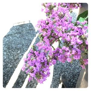 Check Out My Page! 🌷 Accepting Reasonable Offers!